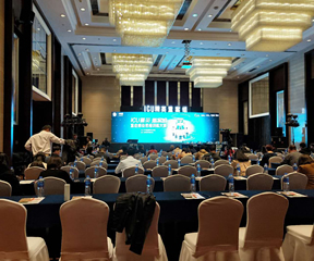 上海会议布置经典案例