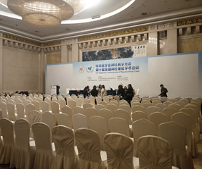 上海会议布置策划